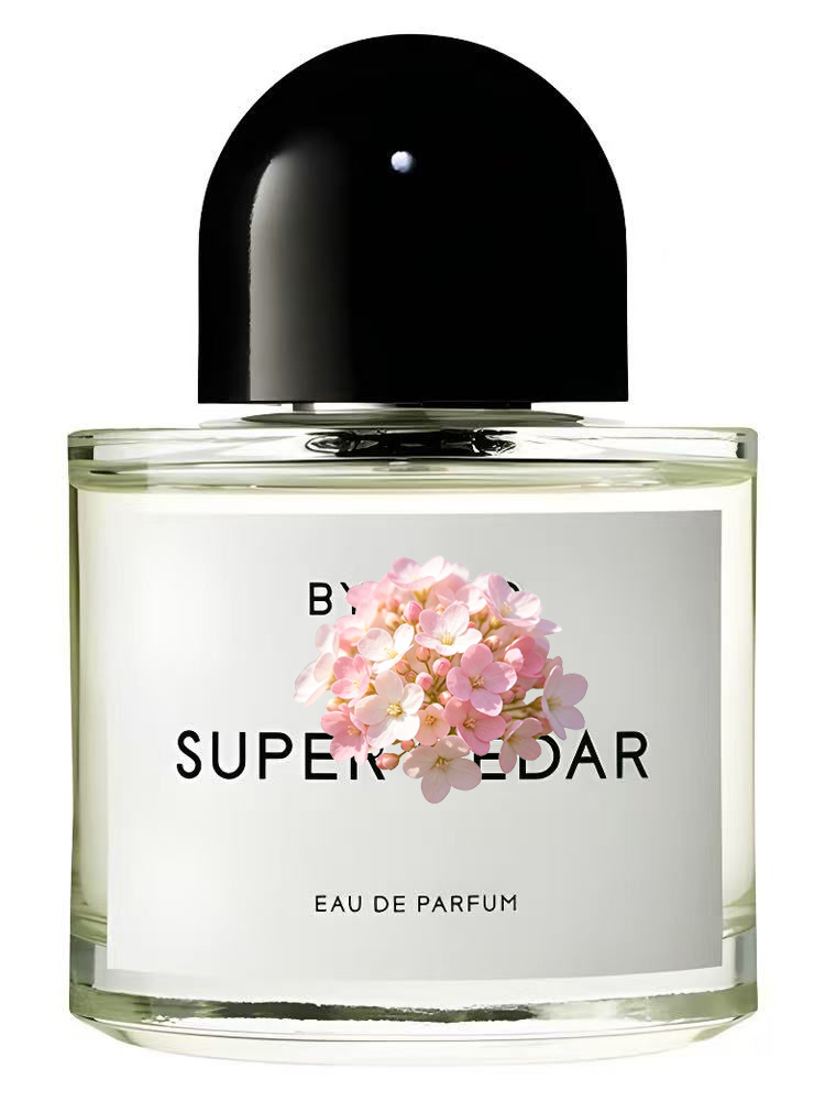 Unisex Eau de Parfum 100ml 3.4 - огляд і ціна Perfume Fragrance Dupe